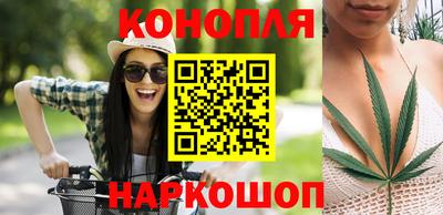 МДПВ Дубна