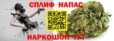 кокс Донской