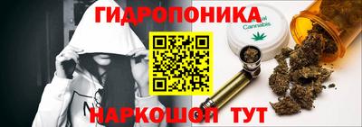 МДПВ Дубна