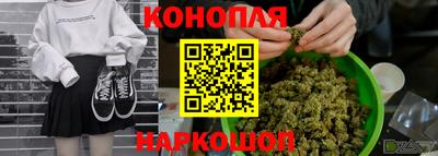 МДПВ Дубна