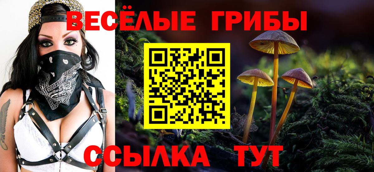 Галлюциногенные грибы Magic Shrooms  Вход с VPN  Псилоцибиновые грибы прущие грибы  Красный Сулин 